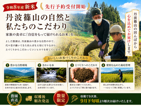 【令和8年産 新米・先行予約】丹波篠山産 コシヒカリ 10kg 2026年産・農園直送 ご家庭用 新米 特 コシヒカリ こしひかり 10㎏ 数量限定 お米 米
