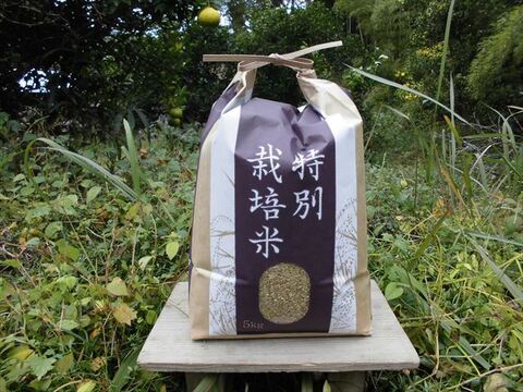 有機JAS認証【農薬不使用「はりまもち」玄米5kg】甘くてよく伸びるもち米 2025年兵庫県産「タガメの里・自然米」
