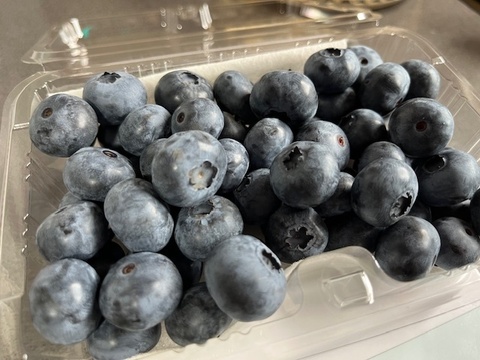 【肥料農薬不使用】2025年収穫！自慢の冷凍ブルーベリー！(2kg)