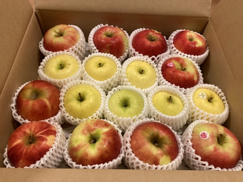 2024年産完売御礼✨特別栽培りんご🍎🍏おまかせりんご3種食べ比べ5kg🍎🍏 訳ありご家庭用 りんご詰合せ 化学肥料不使用 青森県特別栽培認証 皮ごとおいしい🍴