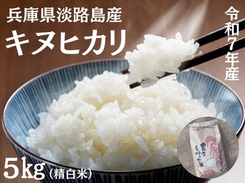 【新米 令和7年産】淡路島産キヌヒカリ 5kg（精白米）