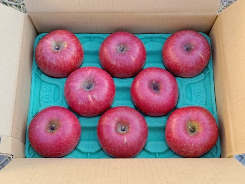 信州産葉とらずサンふじプレミアム3kg8〜11個入り　信州古畠りんご園直送　ご贈答用にもおすすめ