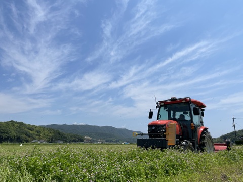 🔵予約販売🔵令和6年産 新米　化学肥料不使用‼️クローバーで育てた幻の米🍀朝日米【極　2.1mm】「特別栽培米」おひさまのかけら（精米後約9kg）　12月13日から発送