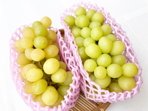 【黄色い小粒】シャインマスカット【完熟1kg】