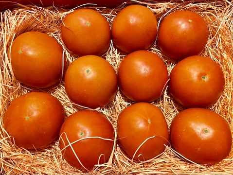 ～春夏秋冬～夏のトマトを楽しみましょう！ぜいたくトマト《夏の陣》