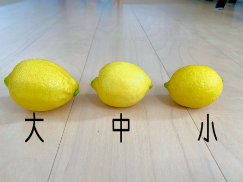 お買い得‼️【ハウス栽培レモン】(リスボン)防腐剤🍋ワックス不使用 佐賀県産果汁たっぷりレモン約1.5kg