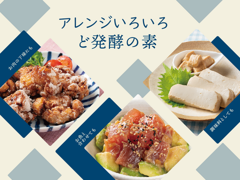 三生酵素を生きたまま！ど発酵の素　100g