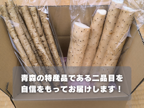 【使い切りセット】洗いネバリスター1kg＆洗いごぼう500g｜とろろ・きんぴらに