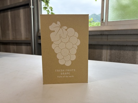 【ipec】クール便　シャインマスカット　1箱 ☆クール便対応可【お試し】大粒！シャインマスカット1房 山梨県