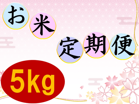 【新米】定期購入　茨城県産のお米５kg（月4回購入限定）