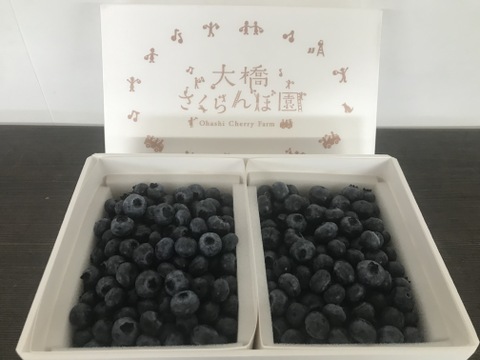 完熟！生ブルーベリー【ミックス】1kｇ　北海道・芦別産ブルーベリー【大橋さくらんぼ園】