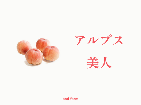 【数量限定】アルプス美人｜南アルプス生まれの気品あふれる希少桃　約2kg 約5~6玉