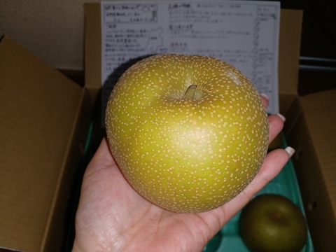 【予約】梨 幸水 良品3kg‼️長野県産