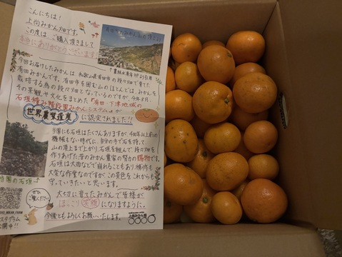 有田みかん【サイズ混合】5 kg（箱込）