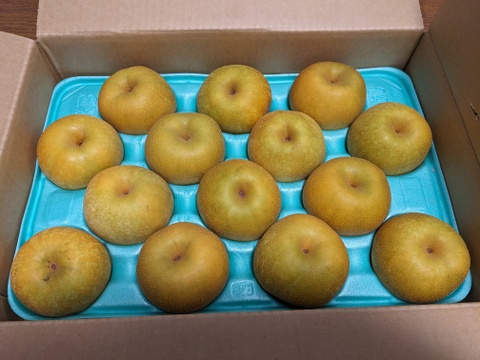 【幸水５ｋｇ】高原の「幸水」は硬さ、シャリ感、ジューシー、甘さが違う。⑥海藻エキス投与で、コクと旨味のある梨にグレードアップ！【秀品】