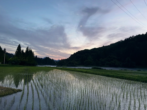 【新米令和７年】『Heitarō Rice』秘境 金山町産　幻のお米 亀ノ尾4kg