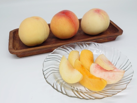 この時期限定！！岡山の桃3種食べ比べｾｯﾄ　6玉（1.5㎏）