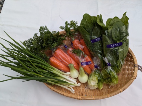 博多の夏野菜セット　7品