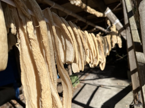 【珍しい太割りの干だいこん】大容量 100g×10袋  群馬県産 十文字大根の割干し