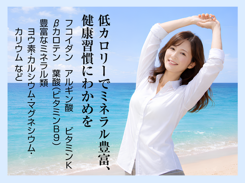 産地厳選！【産地直送】えんぞうわかめ100ｇ3パック　 伊勢志摩産　鳥羽市の離島・菅島沿岸で収穫！　人気のおみやげ