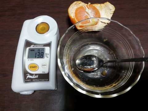 温州ミカン(温州みかん)５㎏【甘み酸味バランス◎】【農薬化学肥料不使用】【熨斗(のし)対応可】