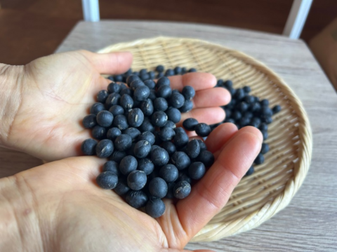 奥出雲産自然栽培丹波黒豆(130g)