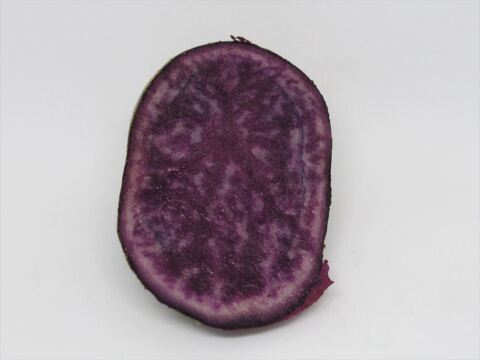 2023年産　農薬・肥料不使用で育てた中まで紫色のジャガイモ【シャドークイーン5㎏】