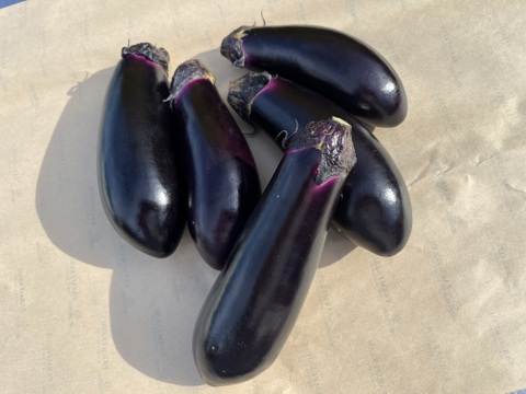 本当に美味しい収穫期でお届けしたい【ぷっくり美味い十文字なす】2kg