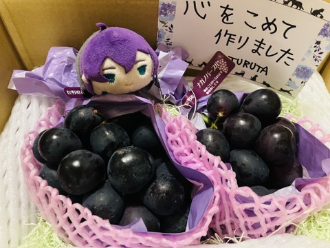 大粒【訳あり】R7年産#種なし＃皮ごと食べれる！
　　【ぶどうナガノパープル 長野産】