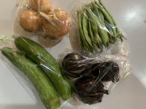 自然栽培】4品目お試し旬のお野菜セット：福島県産の野菜セット｜食べ