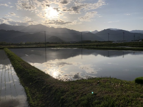 新米コシヒカリ30キロ　北アルプス　安曇野産【冬ギフト】