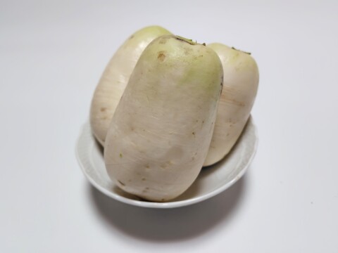 おろしそばに最適! 福井県産 辛味大根(品種名:旭山) 400g