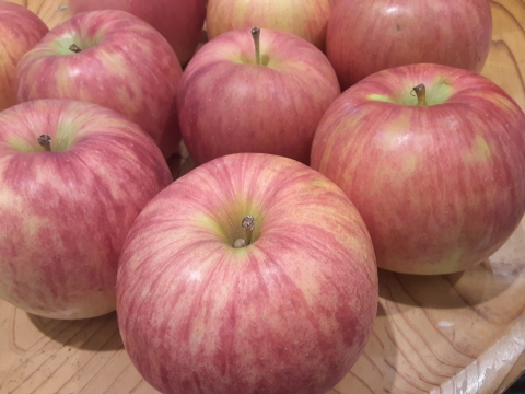 【王道サンふじ】　10㎏　46～56玉　味重視小玉　本場青森りんご　農家直送　元気なりんご