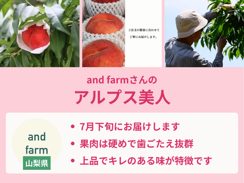 【売り切れ】【限定100セット】3種の桃だより第4弾（食べチョク公式）