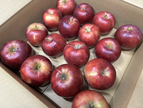 希少【紅玉(こうぎょく)】3kg・バラ詰め🍎酸味が特徴で菓子作りにオススメ！