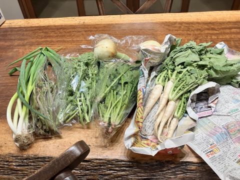 【朝市限定】🥬旬のかやぶき京野菜セット🥕◎【80サイズ】【6～7品目】