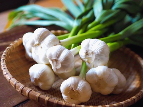 素揚げが大好評！田子町産にんにく30玉【7月中旬以降お届け】