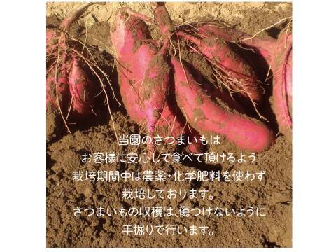 熟成焼芋の蜜を絞り出した天然１００％のシロップ　里山の芋蜜　１００ｇ×３個