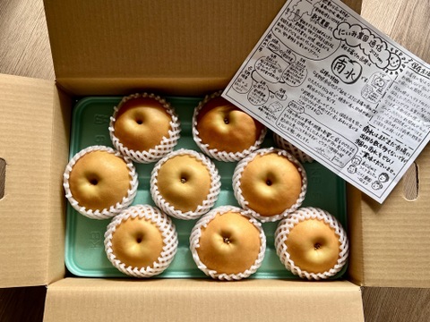 令和8年9月発送【予約】梨 南水 良品 5kg 長野県産 大好評‼️