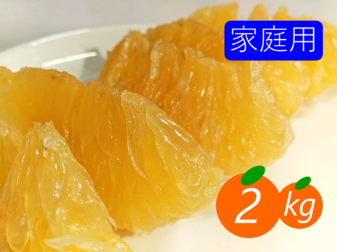 河内晩柑　家庭用　糖度高め　味濃いめ　樹齢20年　美生柑　和製グレープフルーツ 家庭用】河内晩柑 2kg 爽快！！和製グレープフルーツ♡：愛媛県