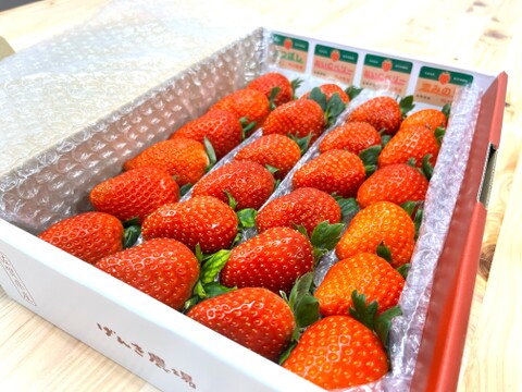 【赤い贅沢いちご】お家でいちご食べ比べ♪800g　佐賀県基山町産
