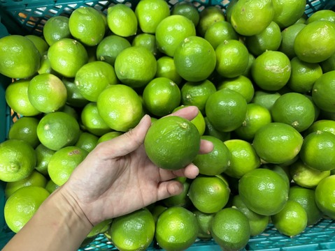 【お買得】香りが良いタヒチライム4kg★防腐剤・ワックス不使用、農薬節減★無選別お徳用