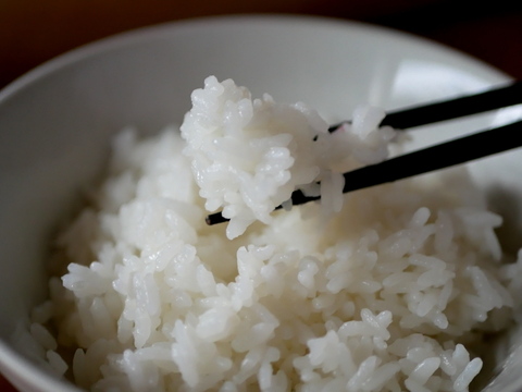 特別栽培米5kg2個パック　冷めても美味しい！ひとめぼれ