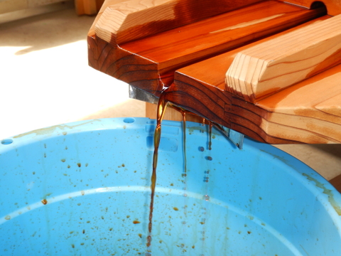 【自然栽培】で育てた丹波青大豆、小麦と海塩で丁寧に作った『丹波青大豆醤油』二年熟成 300ml×3本セット