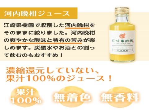 【夏ギフト】贅沢飲み切りタイプ全3種！　まるごと３種類果実ジュース8本セット