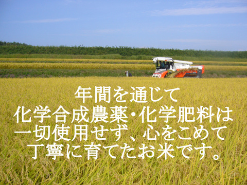 令和5年産【白米15kg】 信州産 農薬不使用米 こしひかり 《受注精米》（5kg×3袋）