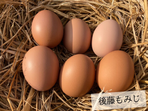 御歳暮［平飼い卵「後藤もみじ」 1パック+ 特別栽培米「ヒノヒカリ」1㎏］223EGG 冬ギフト【新米・令和5年産】