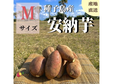種子島産安納芋 S&M 混合サイズ 24kg｜甘くて濃厚🍠｜aimo農園直送
