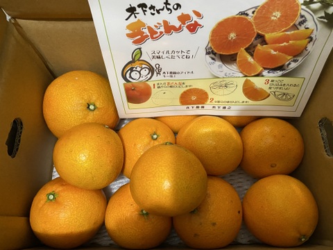 ☆農園1番人気☆ まどんな　家庭用2.5キロ