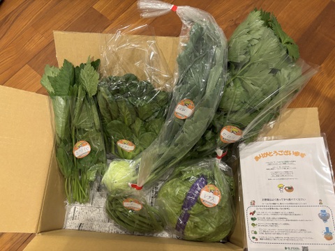 ★５月販売分　野菜セット【コラボステッカーつき！】